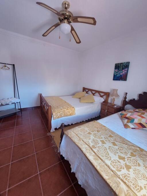 Casa Amarela - Praias Alqueva Povoa de Sao Miguel ภายนอก รูปภาพ